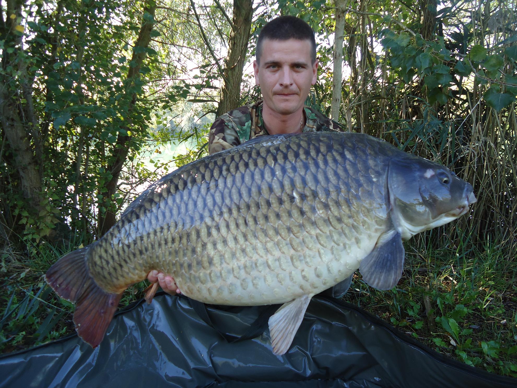 CARP FISHING...... - dsc06050.JPG